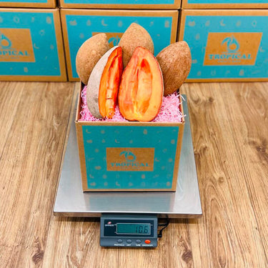 8 lbs Mamey